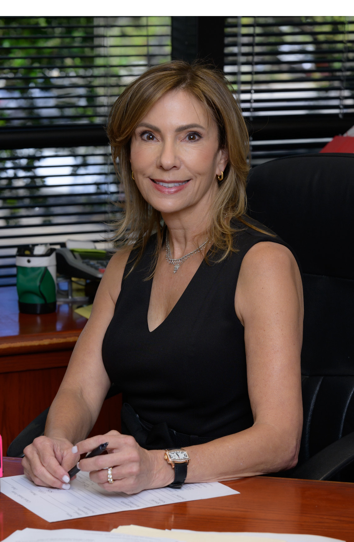 Suzi Sheppard handling Delaware document retrieval orders